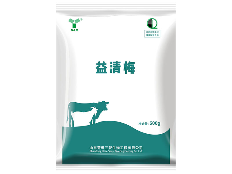 益清梅 500g