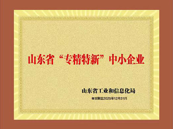 Shandong Province "specialized and special new" small and medium-sized enterprises